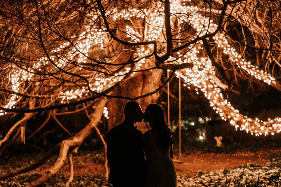 Jaspers Berry Magic Faraway Tree Fairy Lights Hearts Ancient Tree