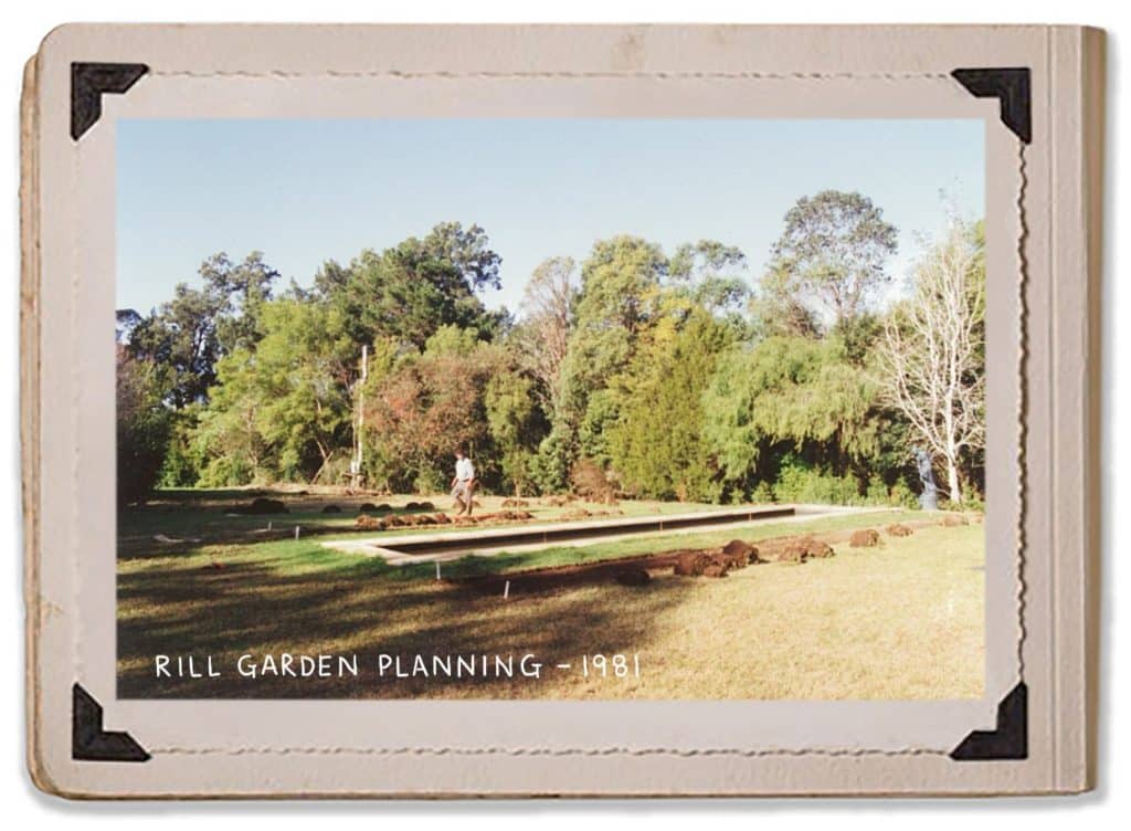 1981 Garden Plan Design Gardening History Rill Jaspers Berry Album