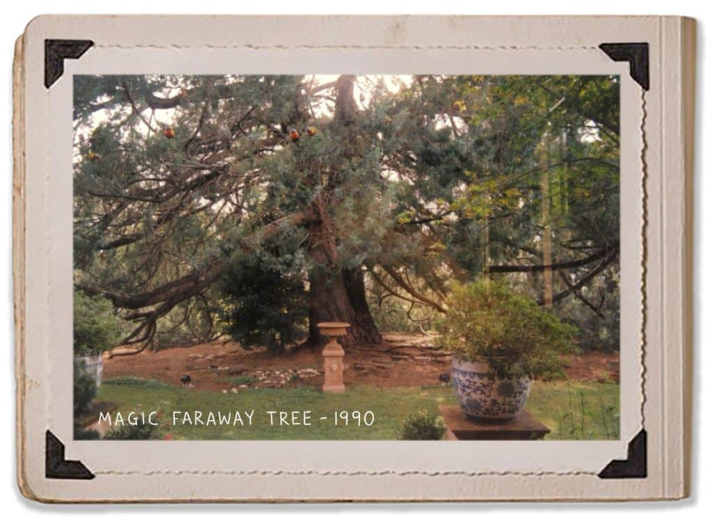1990 Magic Magical Faraway Tree Jaspers Berry Secret Gardens History Album