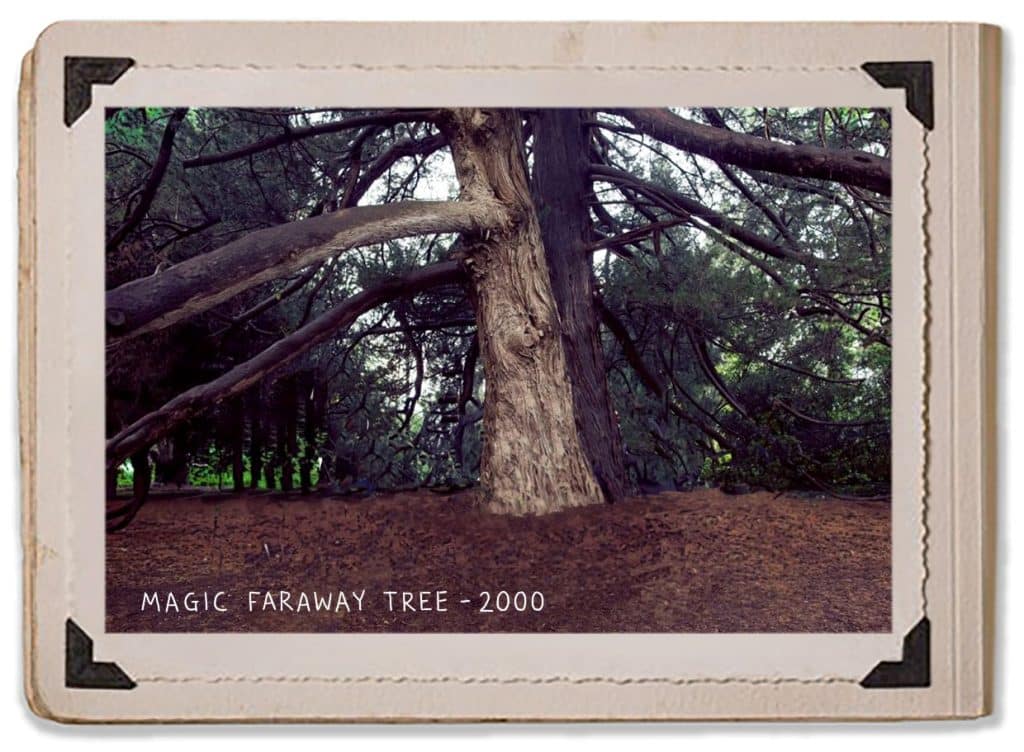2000 Magical Faraway Tree Magic Landscape Design Garden History Jaspers Berry Album