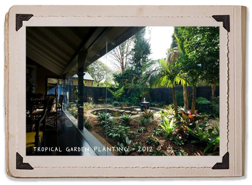 2012 Tropical Garden Planting Gardening Plants Old School House History Jaspers Berry Album