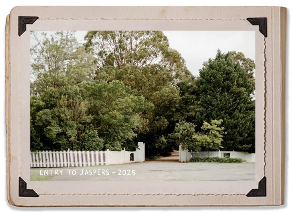 2025 Entry Jaspers Berry Renovation History Album