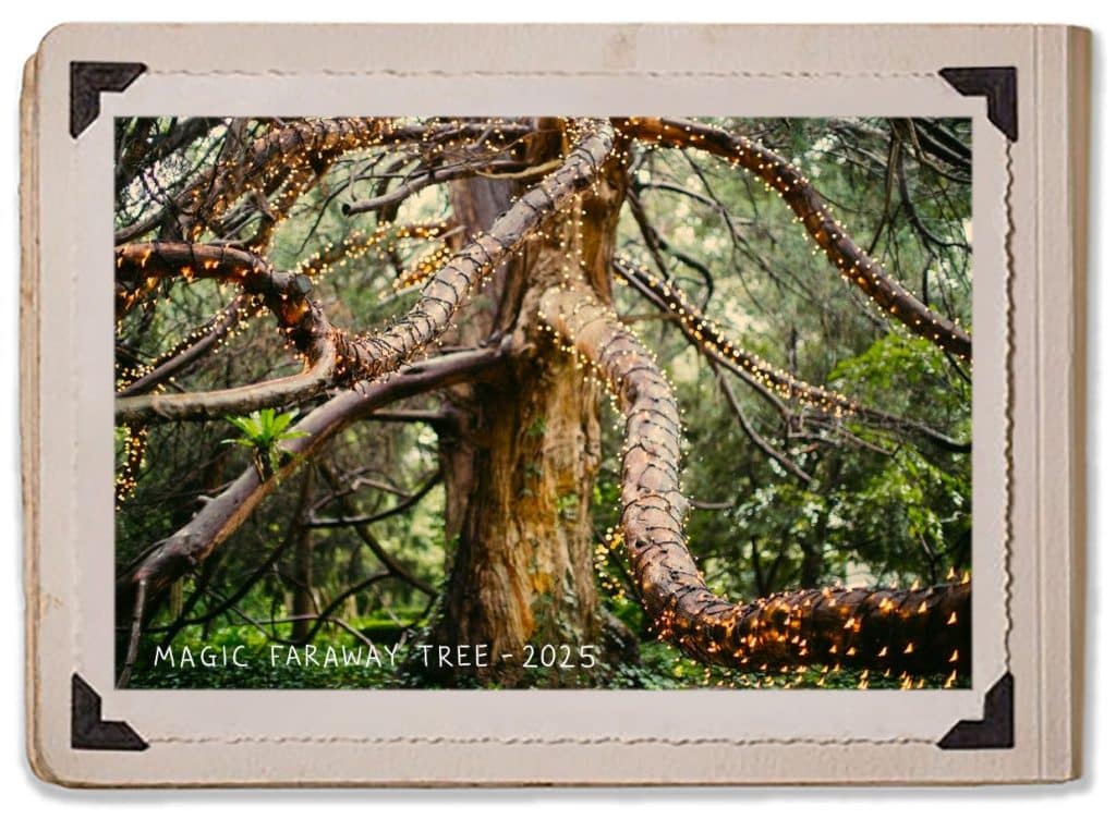 2025 Fairy Lights Fairytale Elegant Wedding Venue Magical Faraway Tree History Jaspers Berry Magic Album