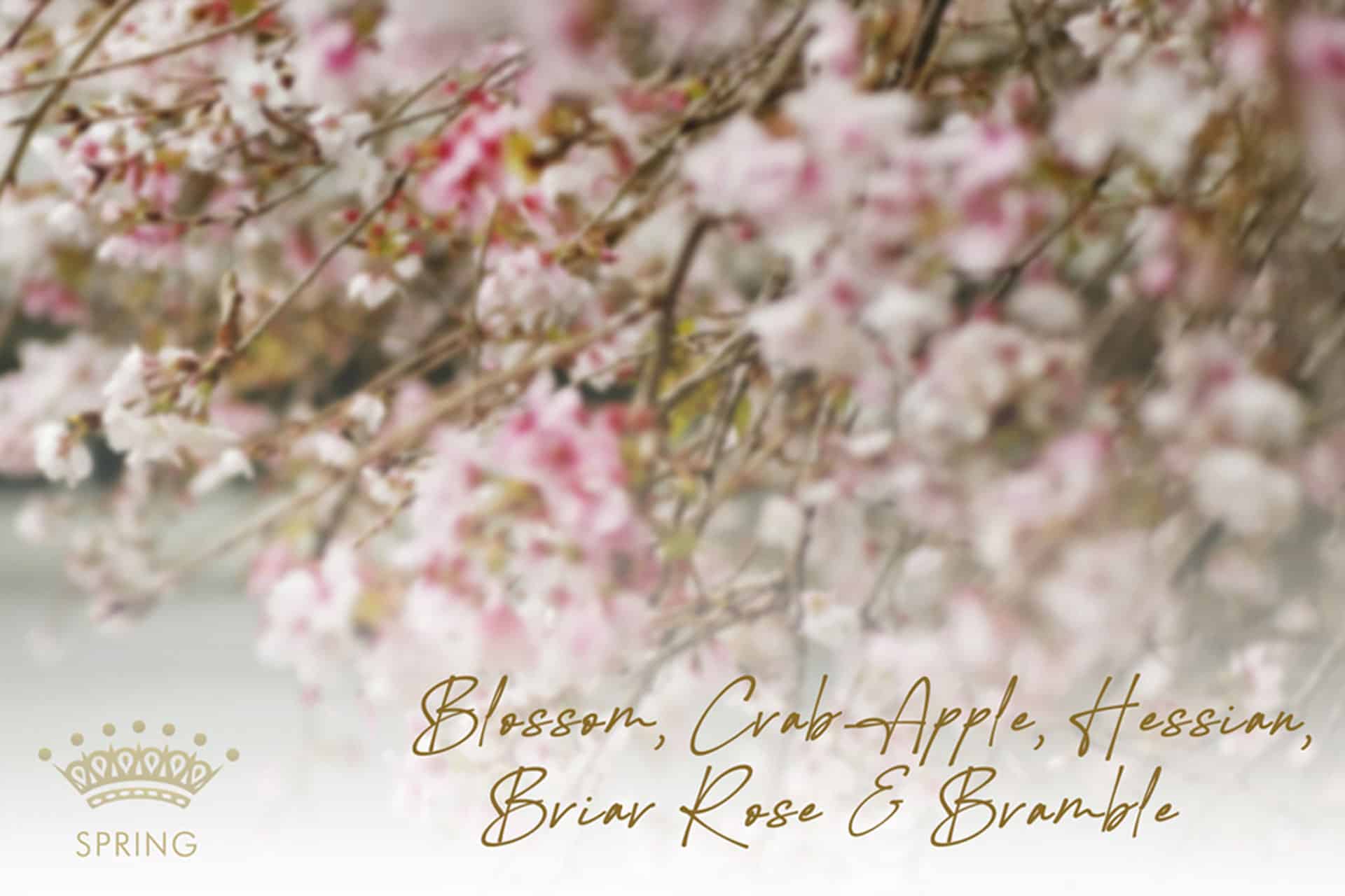 Blossom-Crab-Apple-Hessian-Briar-Rose-Bramble-Spring-Wedding-Wedding-Day-Luxury-Wedding-Venue-Boutique-Wedding-Destination-Wedding-Venue-Jaspers-Berry