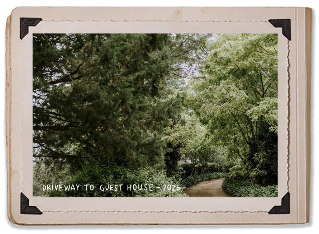 Driveway 2025 Guest House Jaspers Berry Gardens Renovation History Album