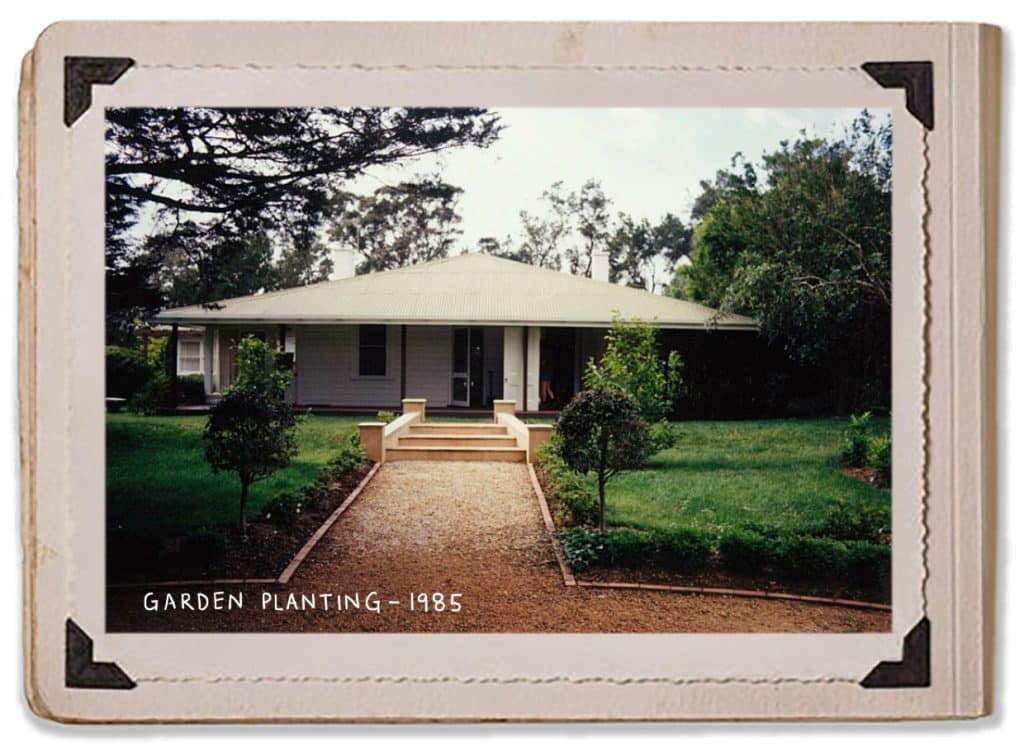 Garden Planting Plants Gardening Landscape Plan 1985 Headmasters Residence Jaspers Berry History Album