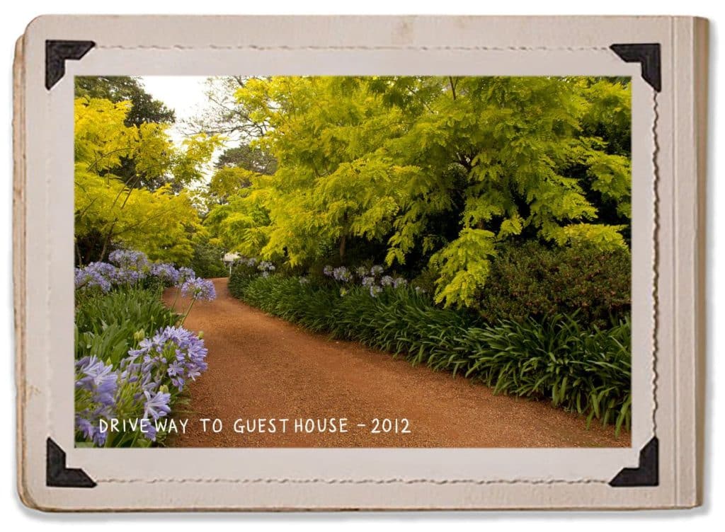 Gardens Driveway Guest House 2012 History Jaspers Berry Renovation Album