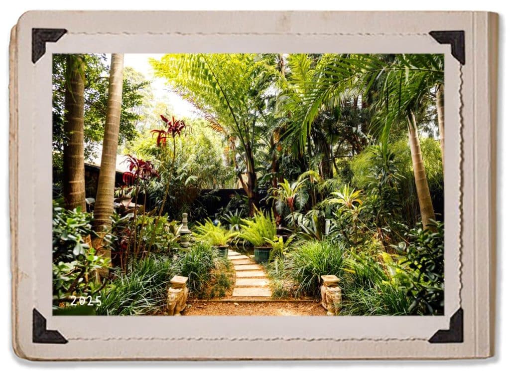 Oasis Tropical Garden Jaspers Berry Old School House Secret Garden History 2025 Album