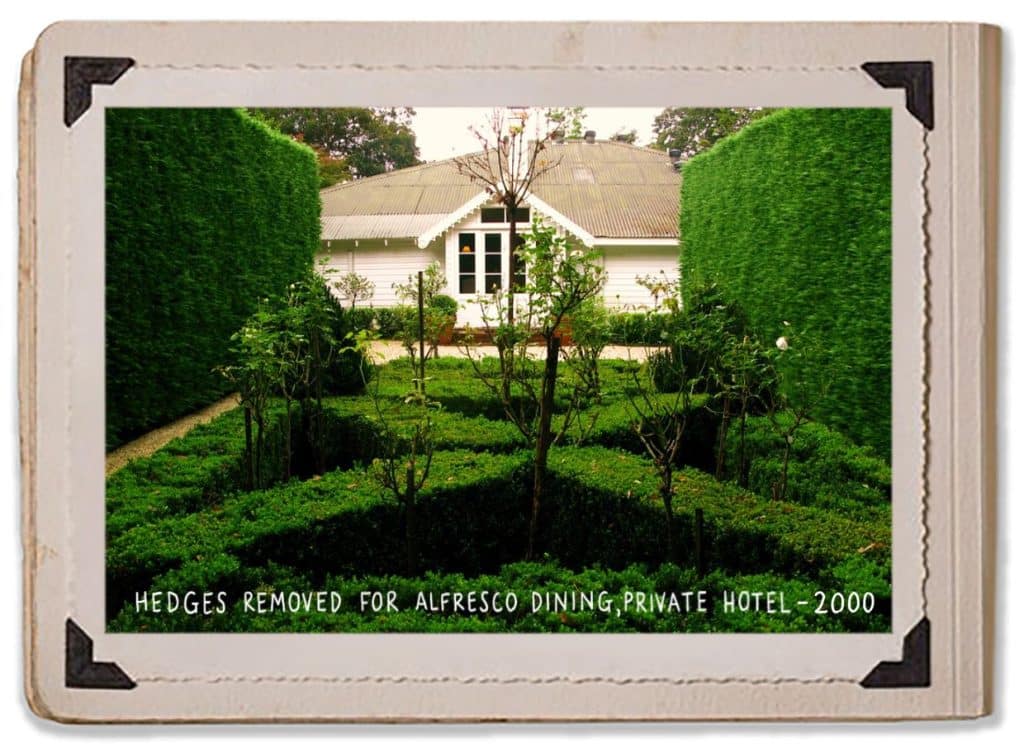 Trees 2000 Ceremony Courtyard Landscape Gardening Private Hotel Hedges Alfresco Dining Guest House Jaspers Berry History Album