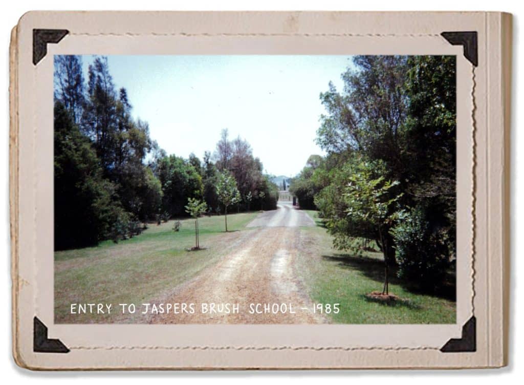 Trees Entry Jaspers Brush School Driveway Jaspers Berry 1985 History Album
