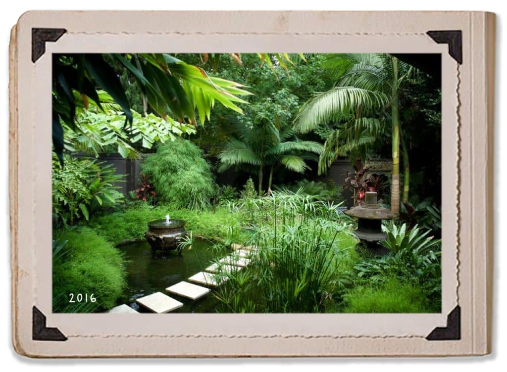 Tropical Garden Old School House History Jaspers Berry Water Fountain 2016 Oasis Plants Album