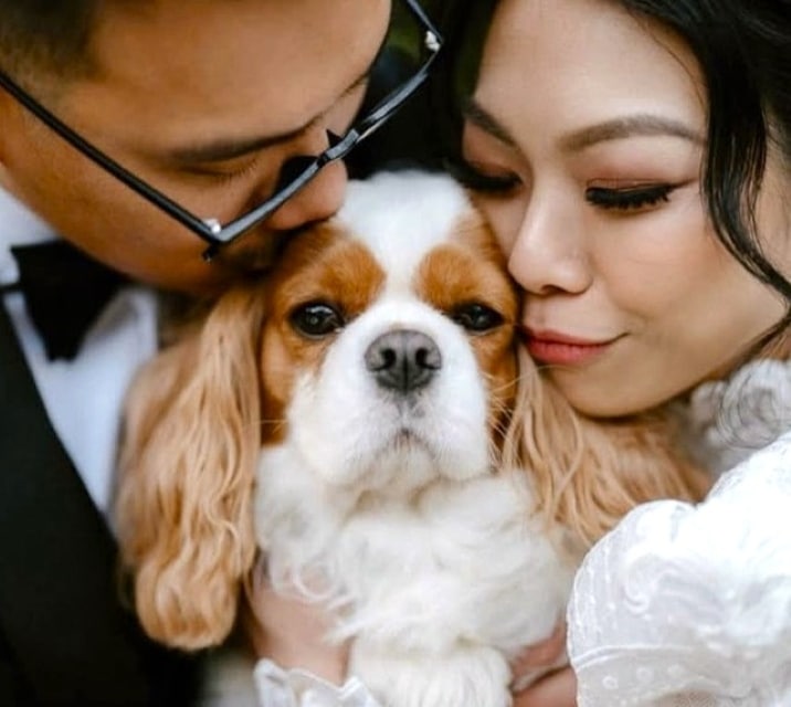Bride Groom King Charles Cavalier Ceremony Jaspers Berry South Coast NSW