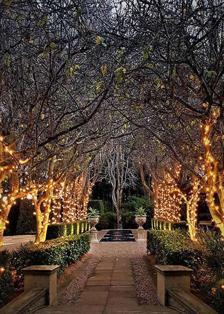 Fairy Lights Dusk The Rill Fairy Land Jaspers Berry South Coast NSW